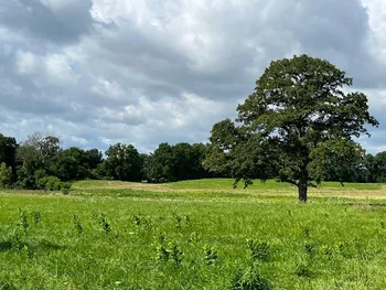 Property at Lot 1 Woodruff Road, Rush, NY 14543