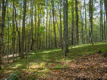 Property at 2454 Scott Road, Kortright, NY 13739