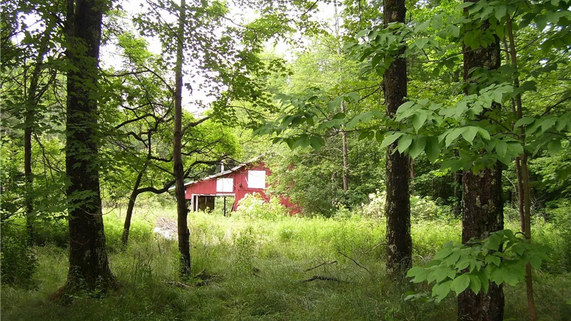 Property at 2886 State Highway 220, Mc Donough, NY 13801 27