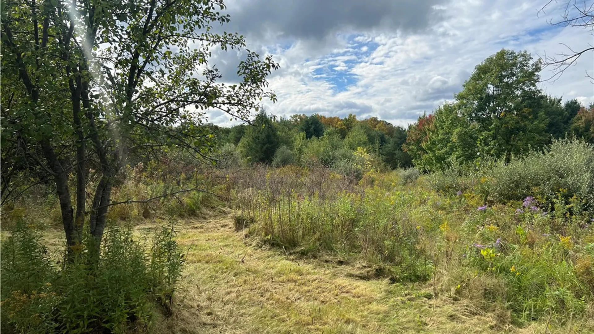 Property at O Grove Springs/ Keuka Highlands Road Road, Wayne, NY 14893 13
