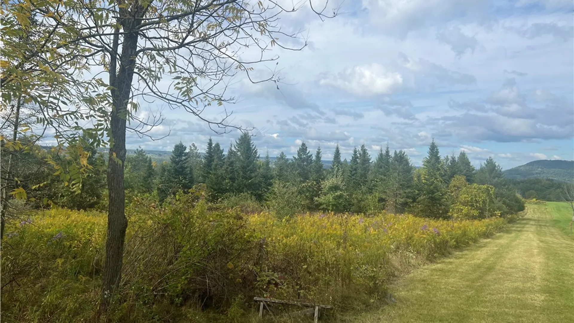 Property at O Grove Springs/ Keuka Highlands Road Road, Wayne, NY 14893 2