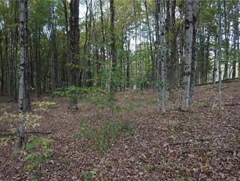 Property at 0 Mc Caw Road, Redfield, NY 13493