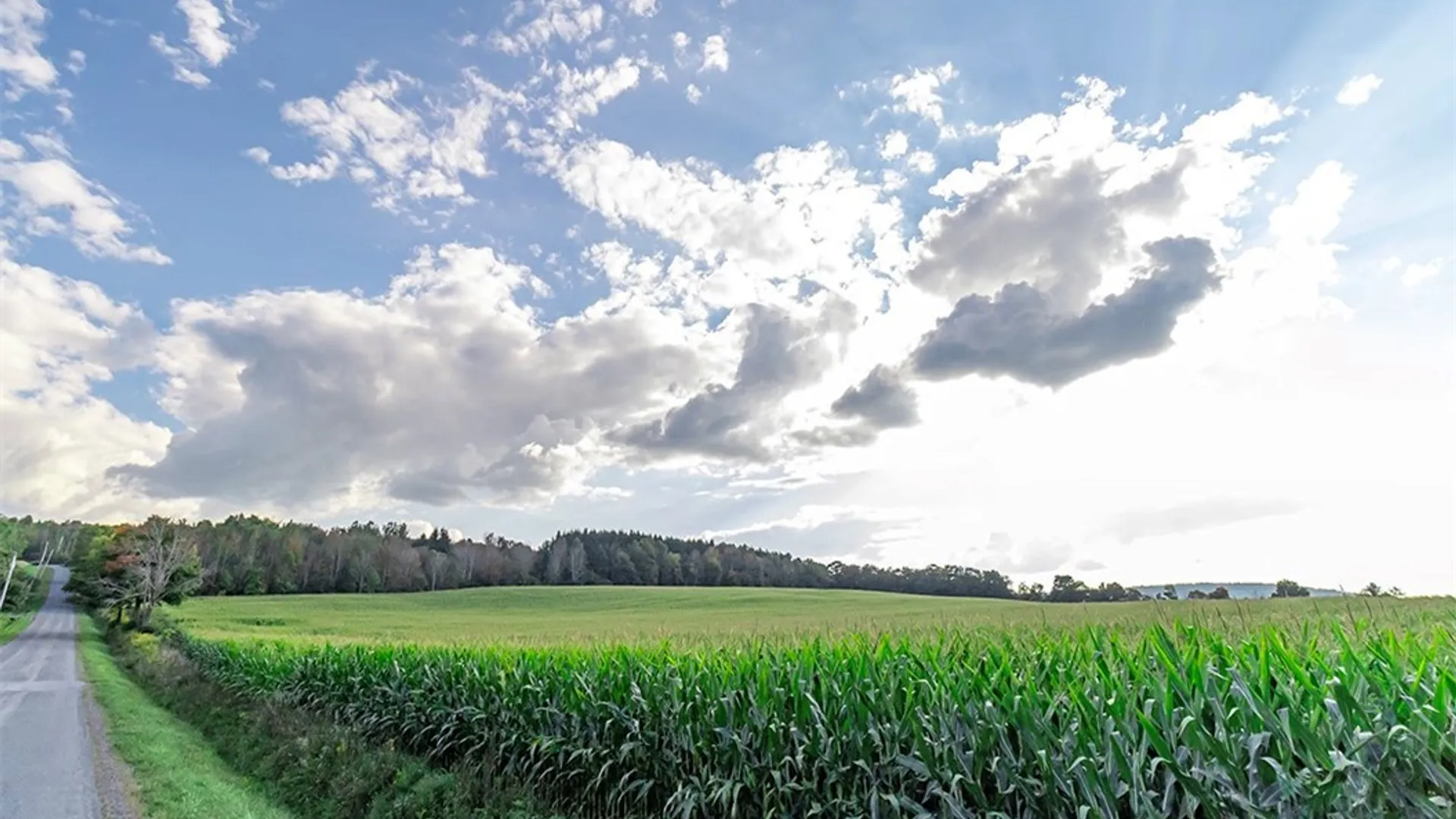 Property at 0000 Tucker Road, Cazenovia, NY 13035 2