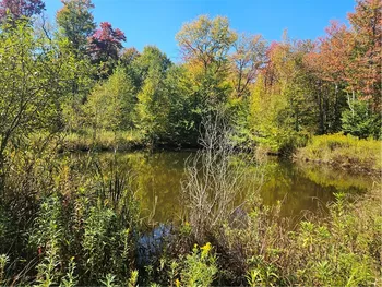 Property at 2881 County Highway 39, Decatur, NY 12197