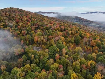 Property at Lot 28.1 Shaver Hollow Road, Andes, NY 13731