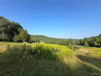 Property at 1235 Kansas Hollow Road, Bolivar, NY 14715