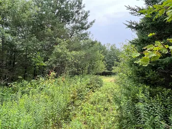 Property at 00 Level Green Road, Caroline, NY 13736