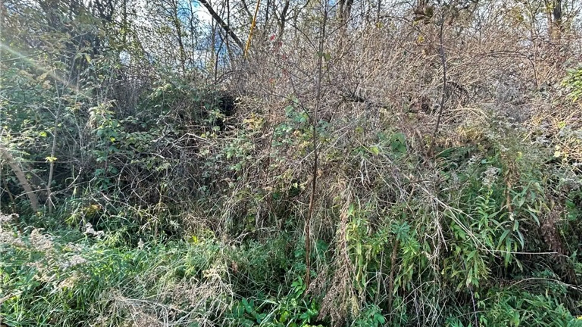 Property at 0 Rt-58, Macomb, NY 13646 2