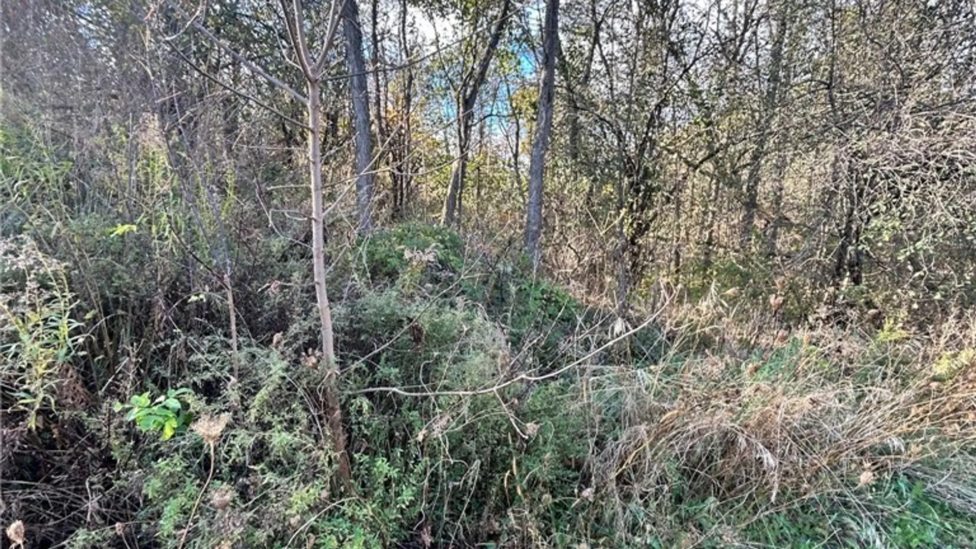 Property at 0 Rt-58, Macomb, NY 13646 3