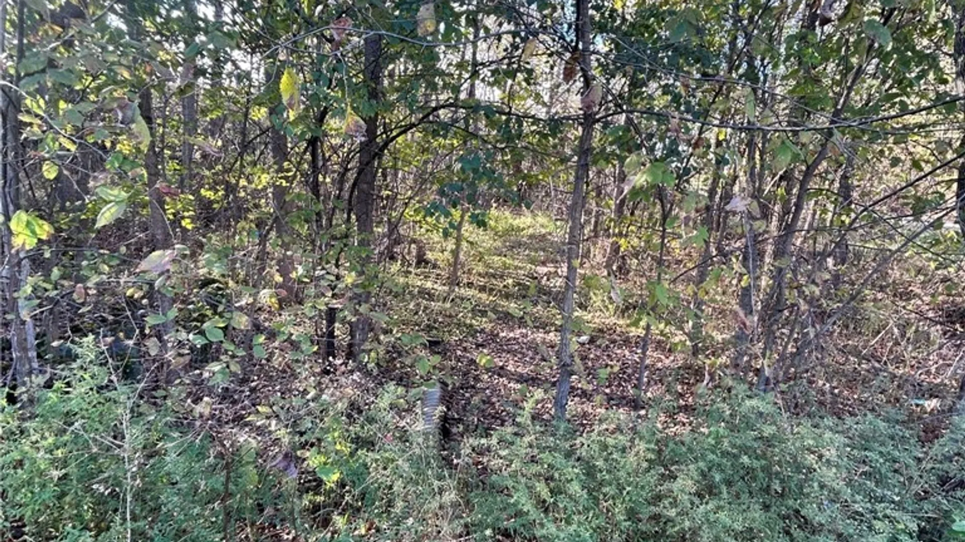 Property at 0 Rt-58, Macomb, NY 13646 4