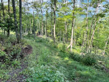 Property at Lot 24 Cowan Lane, Stamford, NY 12167