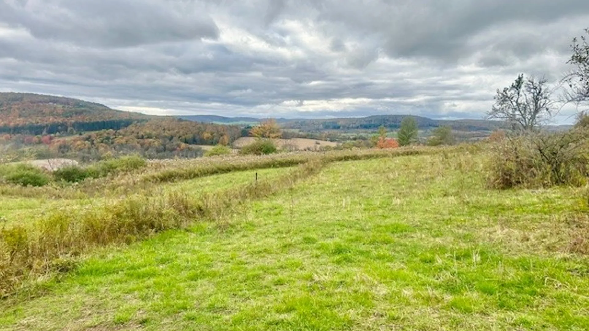 Property at 7898 State Highway 12, Sherburne, NY 13460 13