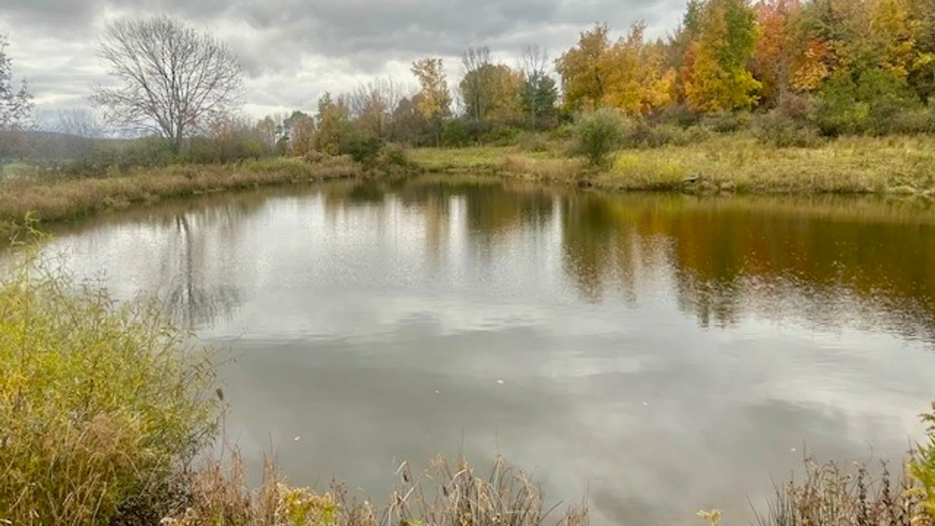 Property at 7898 State Highway 12, Sherburne, NY 13460 15