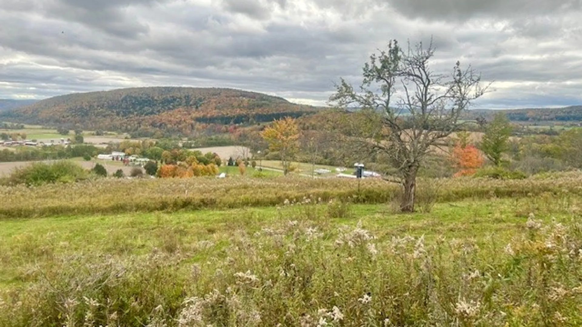 Property at 7898 State Highway 12, Sherburne, NY 13460 17