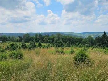 Property at 217 Sherder Road, Maine, NY 13760