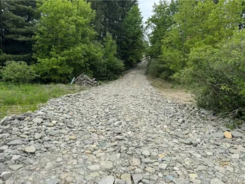 Property at 00 Sprague Hill Road, Poland, NY 14733