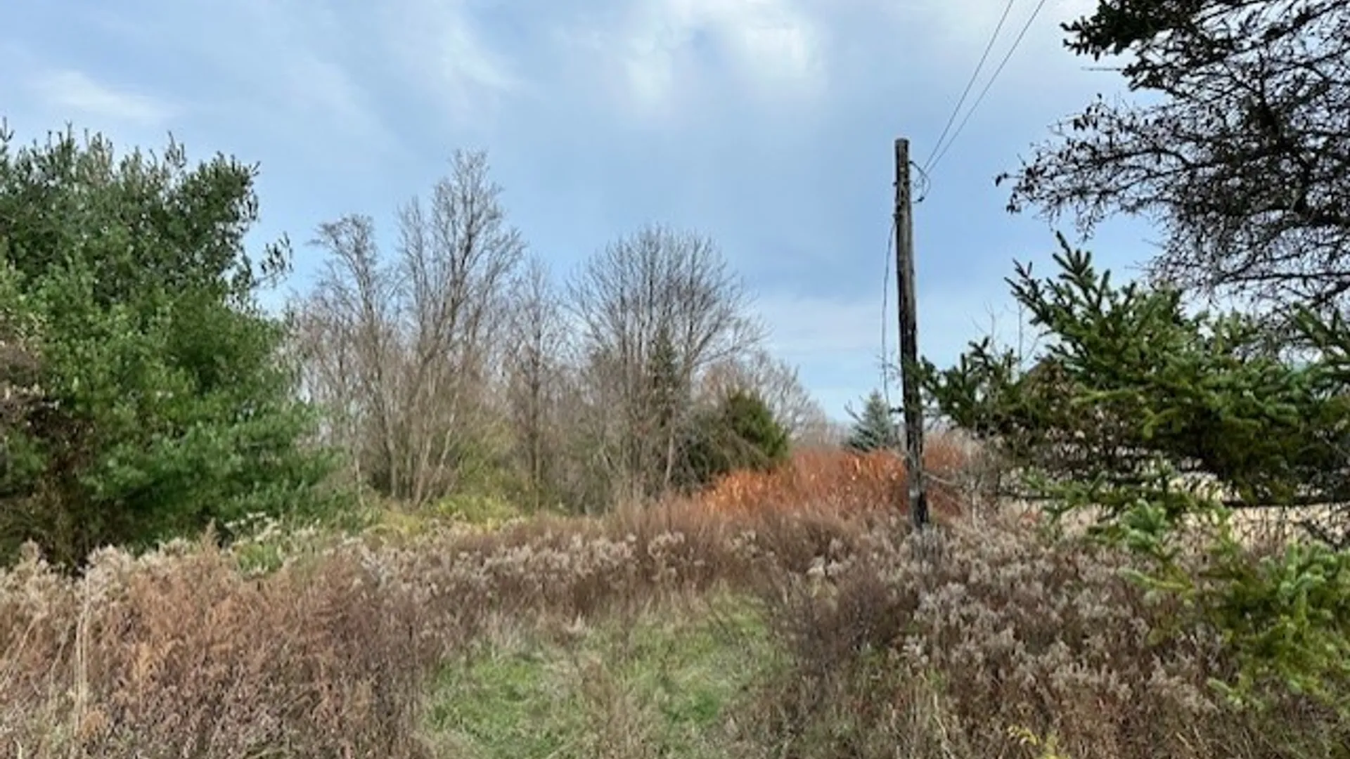 Property at 8379 Green Road, West Sparta, NY 14437 2