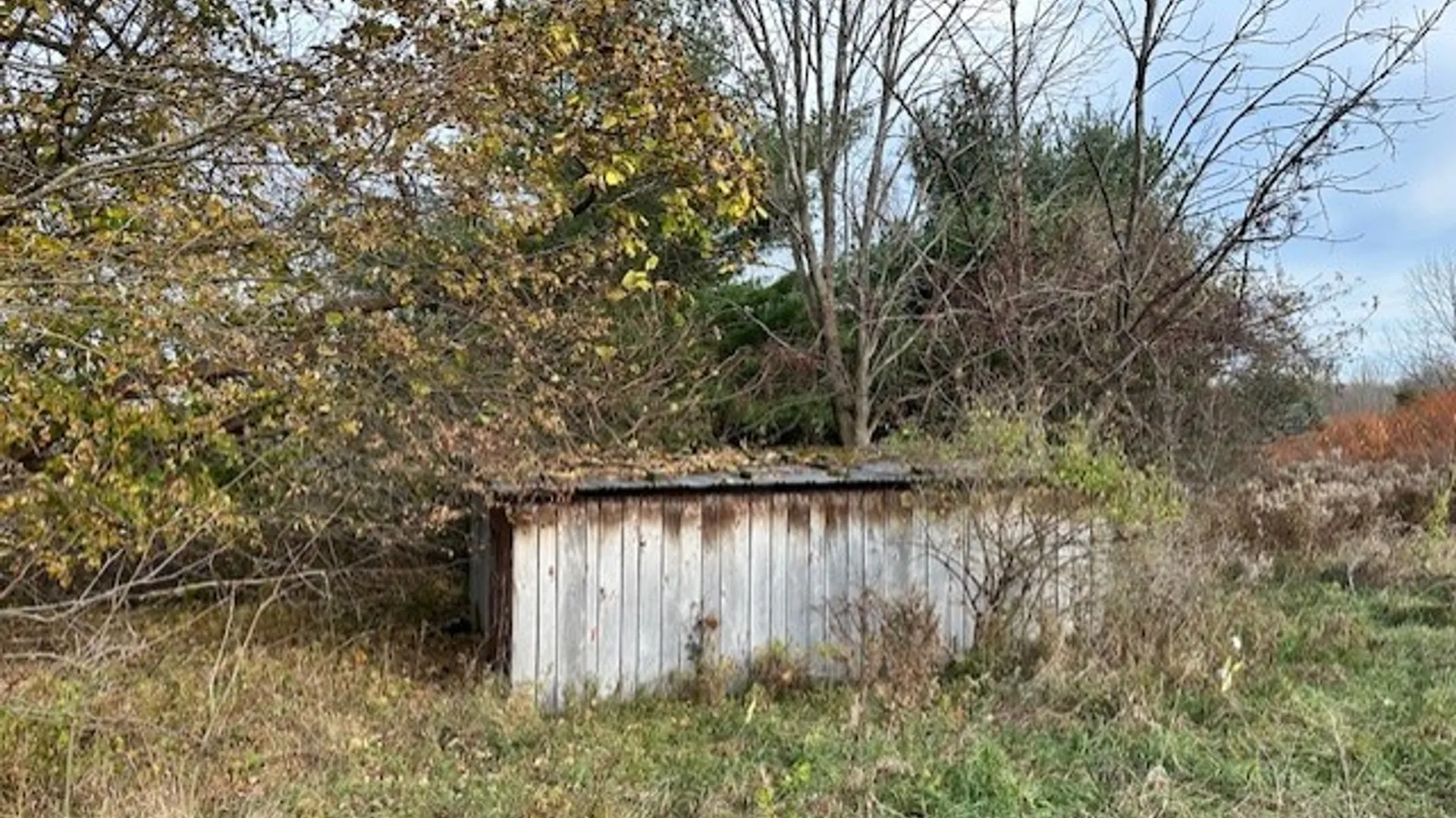 Property at 8379 Green Road, West Sparta, NY 14437 9