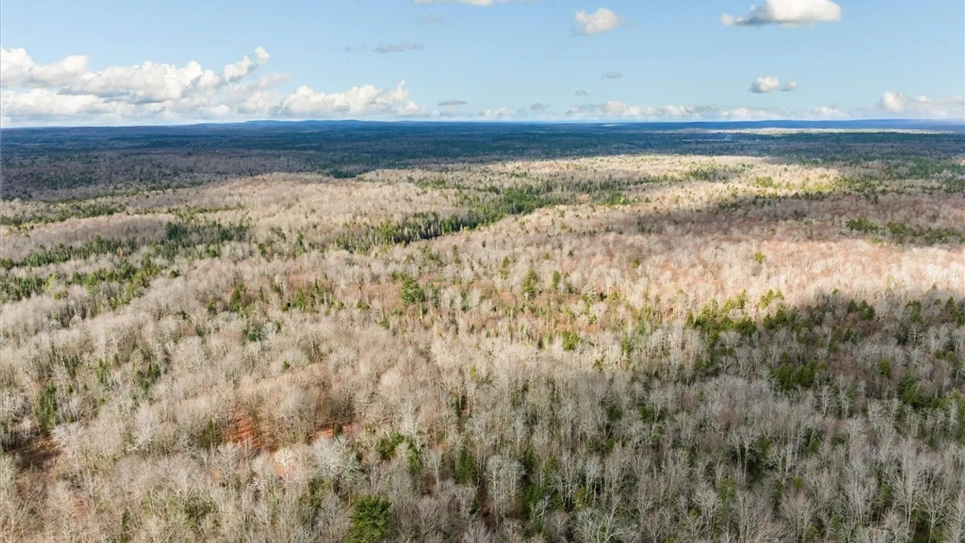 Property at 0 Christman Road Road, Ohio, NY 13324 10