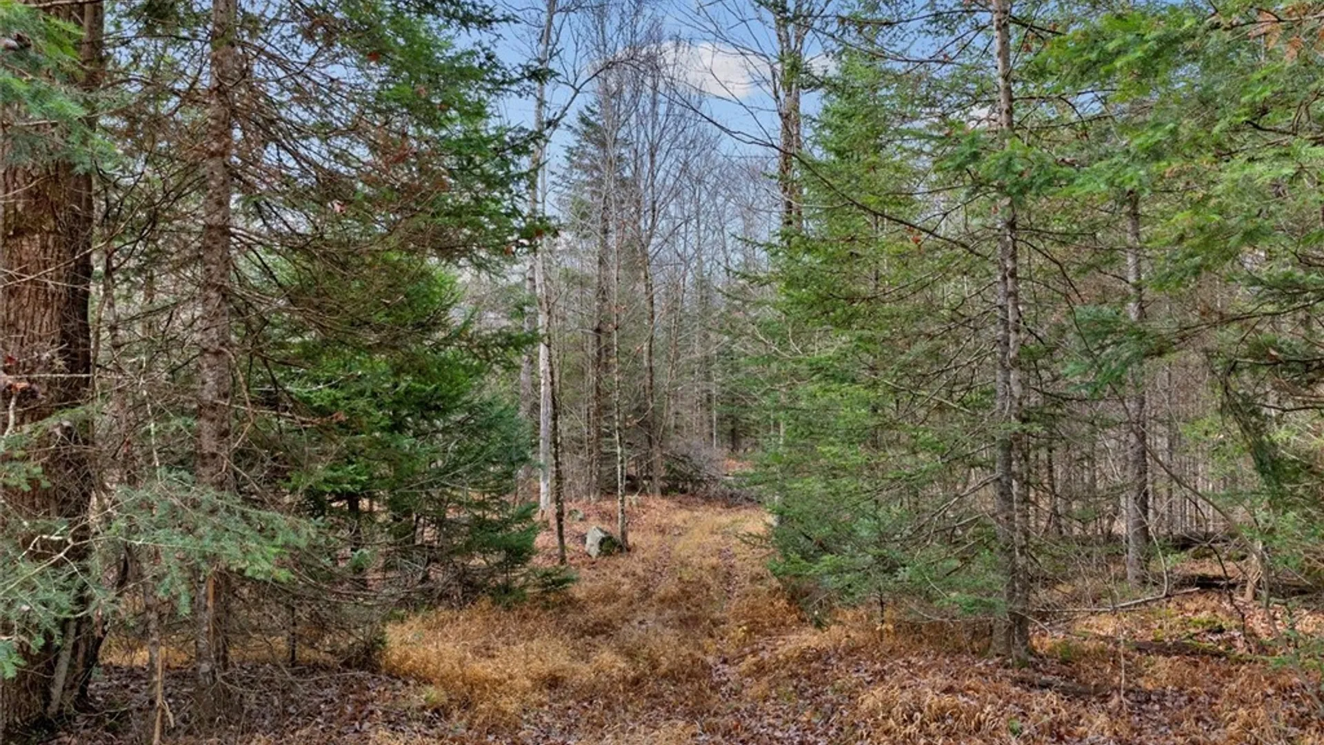 Property at 0 Christman Road Road, Ohio, NY 13324 11