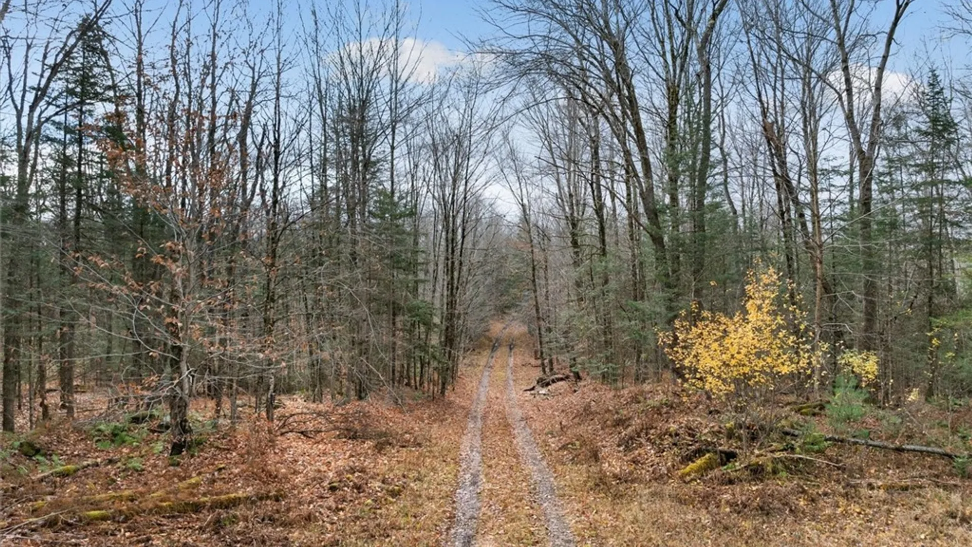 Property at 0 Christman Road Road, Ohio, NY 13324 12