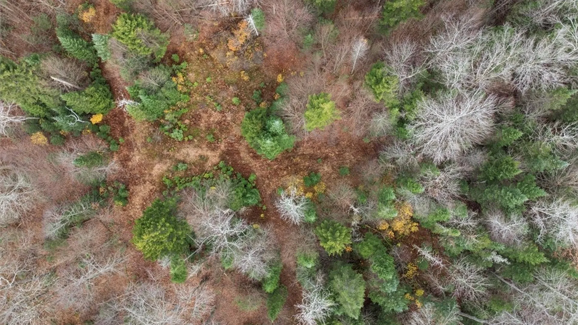 Property at 0 Christman Road Road, Ohio, NY 13324 14