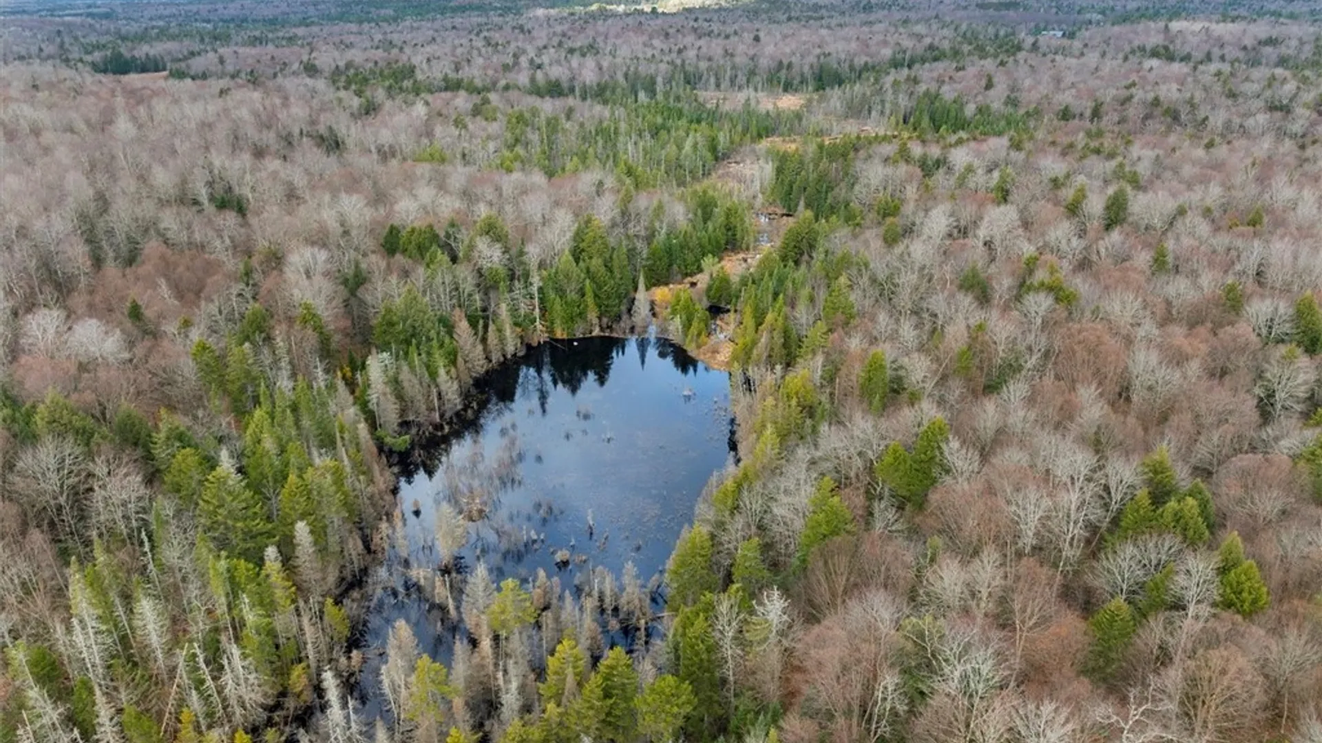 Property at 0 Christman Road Road, Ohio, NY 13324 15