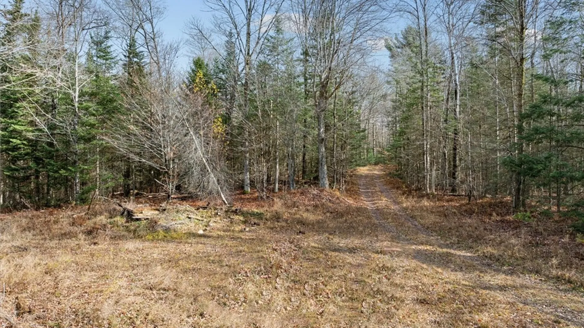 Property at 0 Christman Road Road, Ohio, NY 13324 18