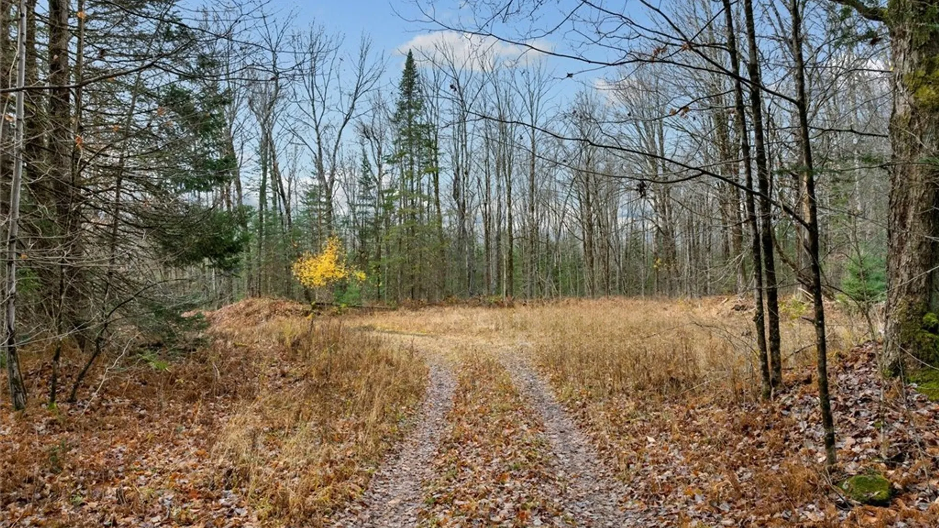 Property at 0 Christman Road Road, Ohio, NY 13324 19