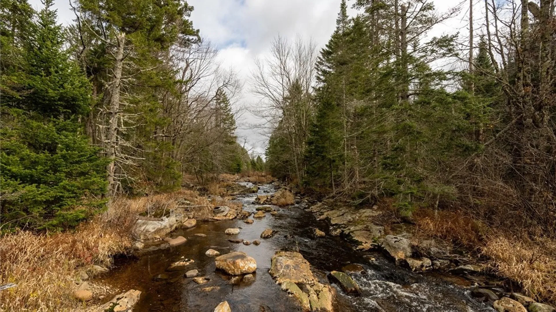 Property at 0 Christman Road Road, Ohio, NY 13324 2