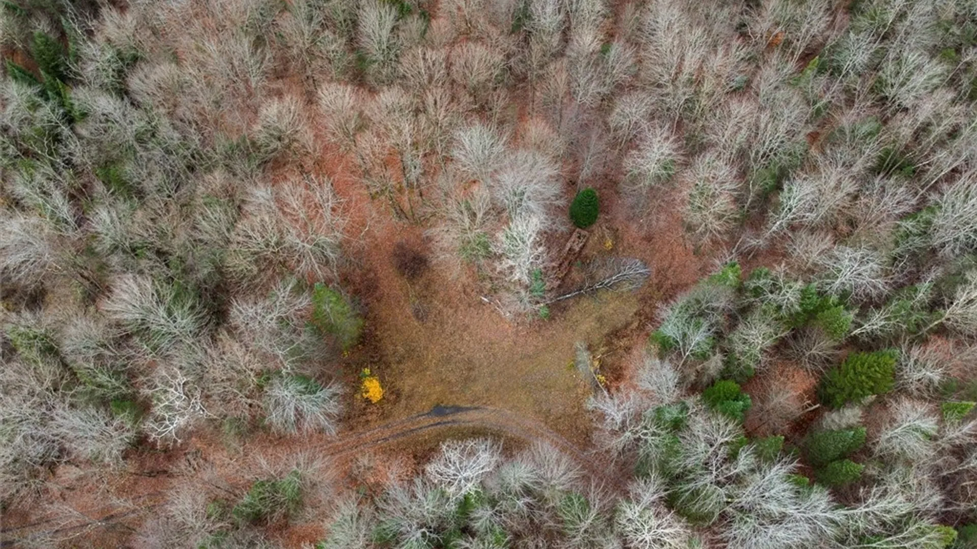 Property at 0 Christman Road Road, Ohio, NY 13324 20