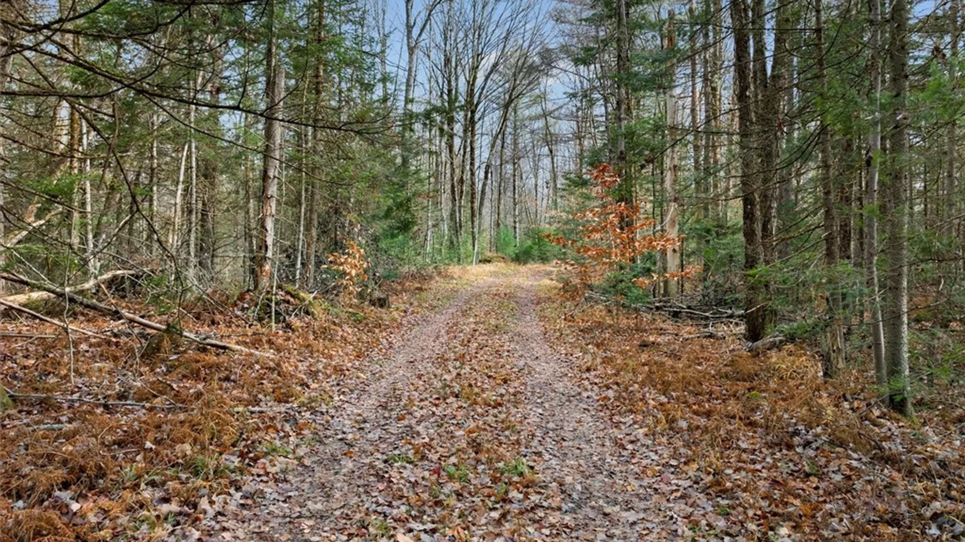 Property at 0 Christman Road Road, Ohio, NY 13324 3