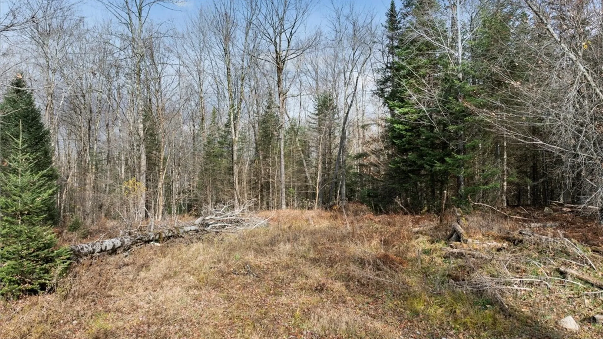 Property at 0 Christman Road Road, Ohio, NY 13324 6