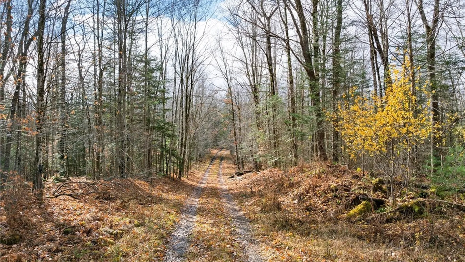 Property at 0 Christman Road Road, Ohio, NY 13324 7