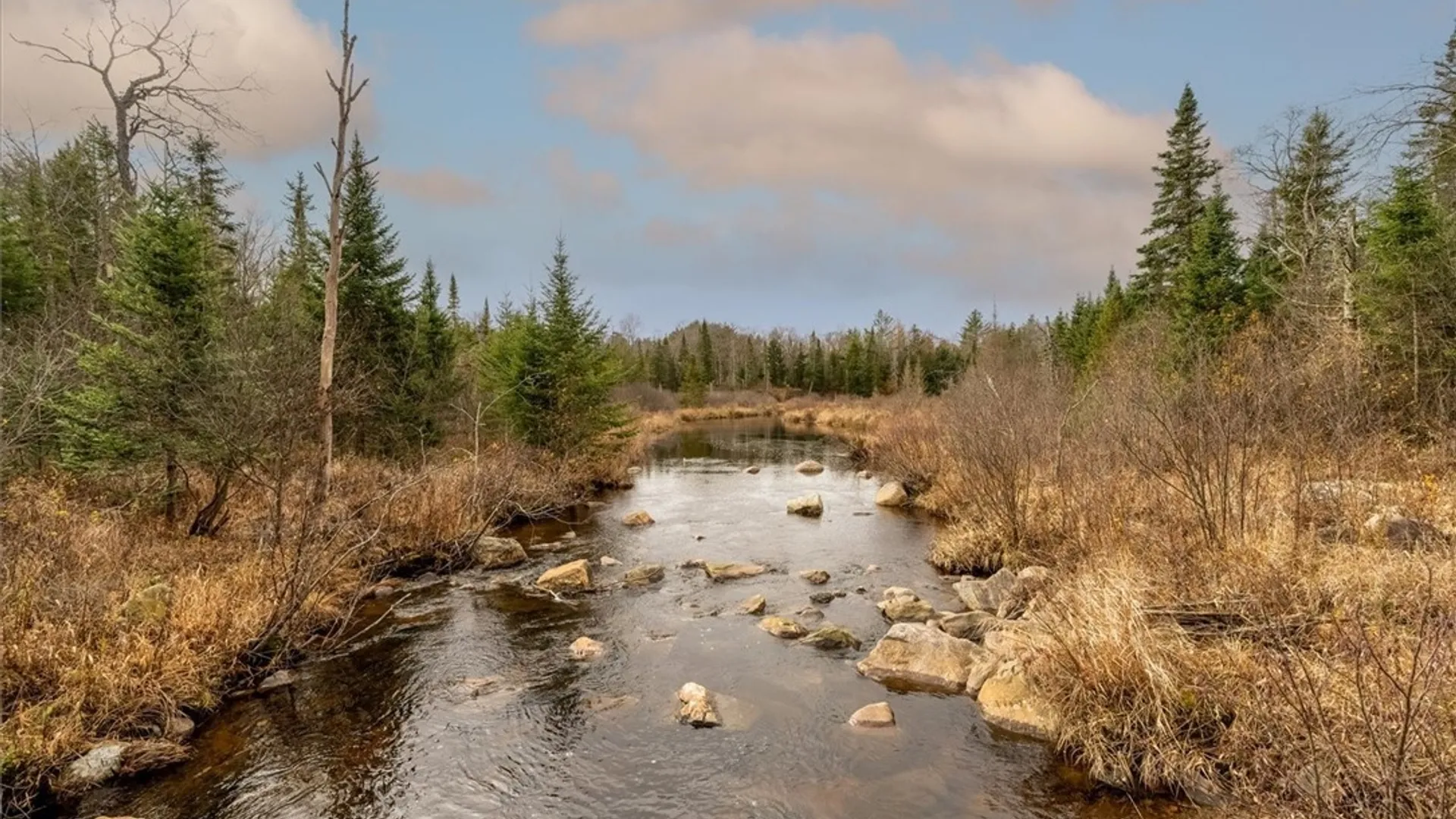 Property at 0 Christman Road Road, Ohio, NY 13324 8