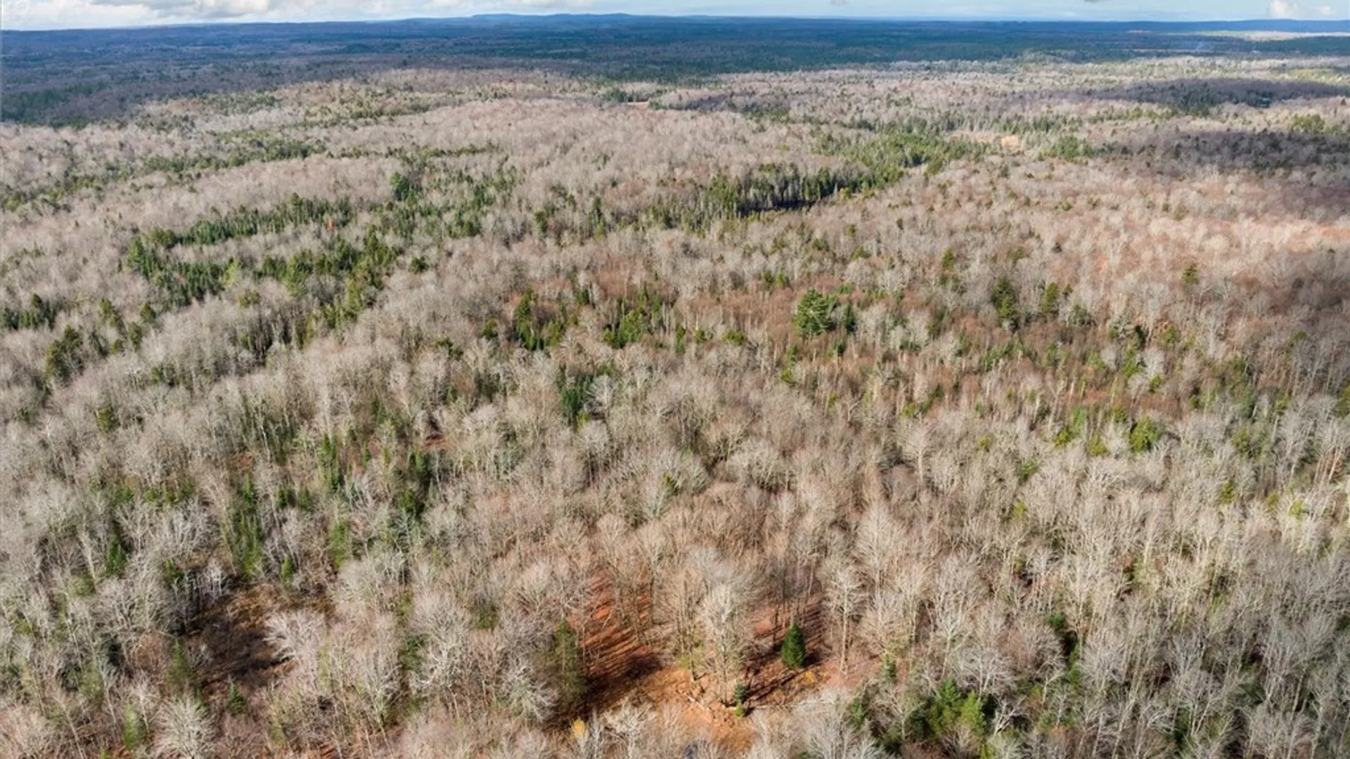 Property at 0 Christman Road Road, Ohio, NY 13324 9