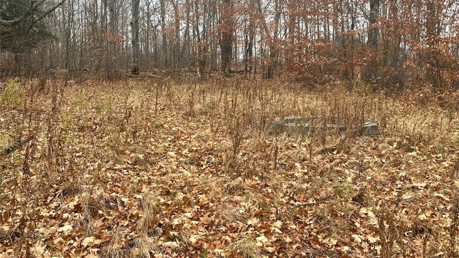 Property at 00 Brandes Road, Willing, NY 14895 11
