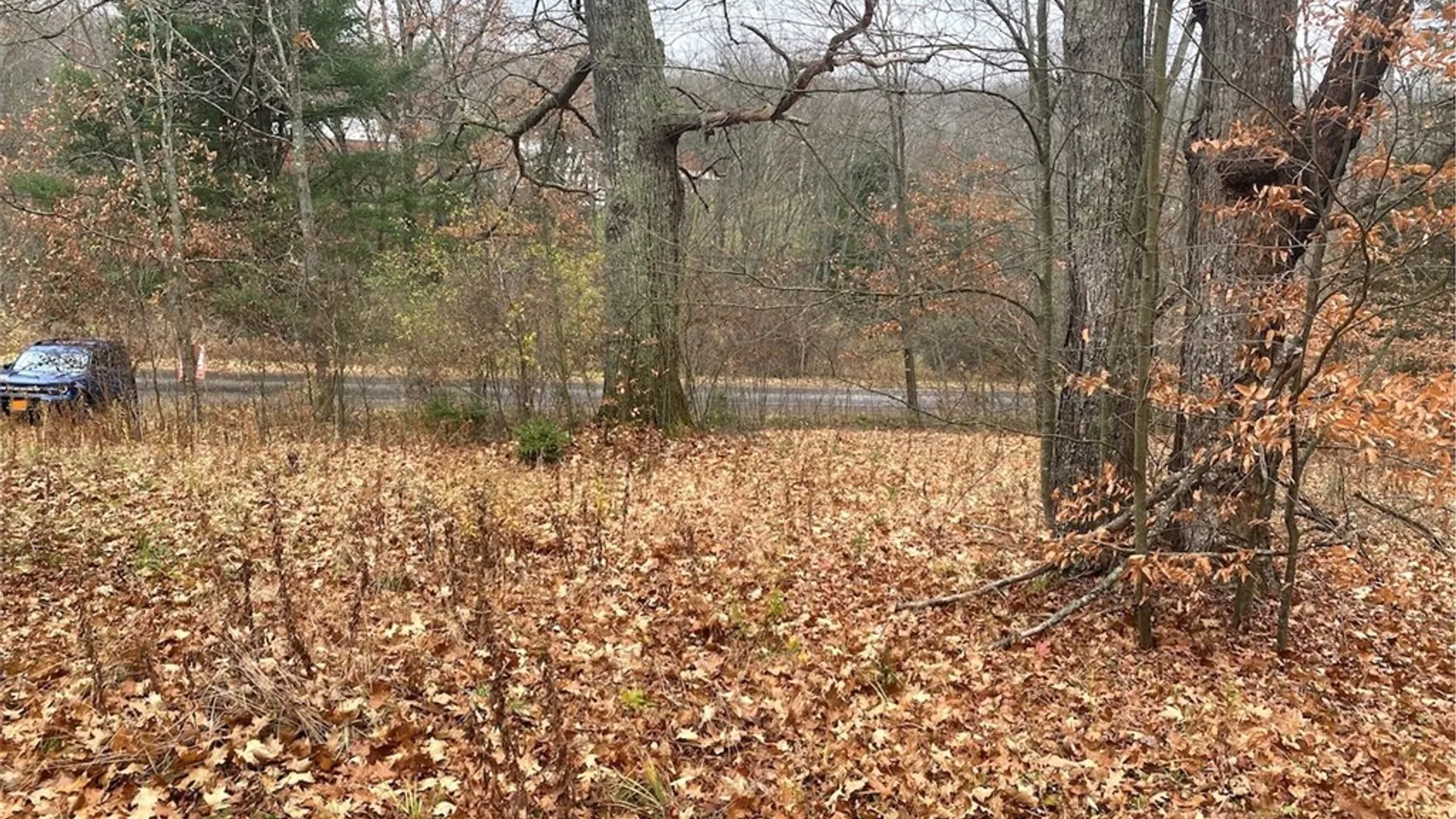 Property at 00 Brandes Road, Willing, NY 14895 12