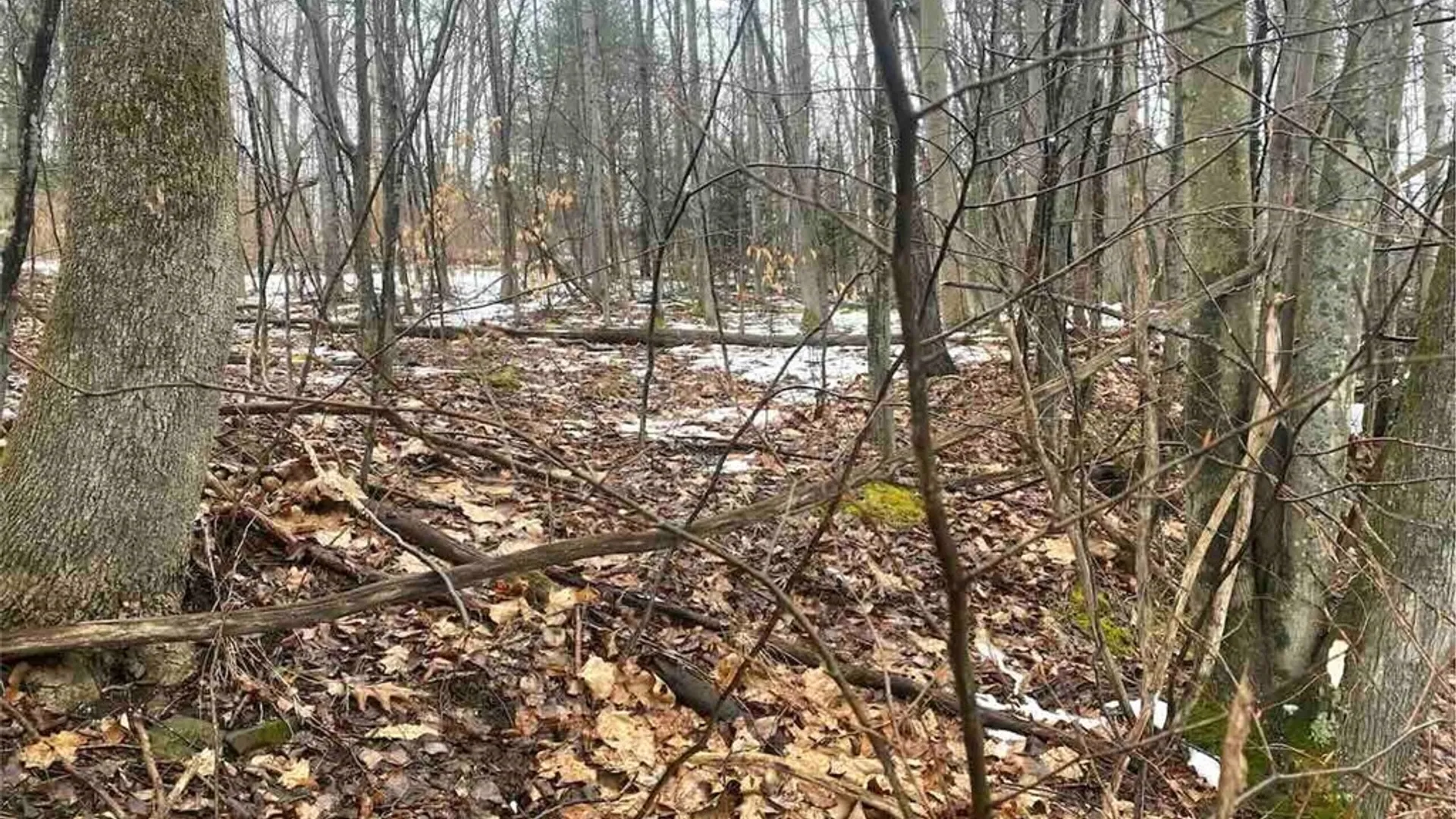 Property at 00 Brandes Road, Willing, NY 14895 13
