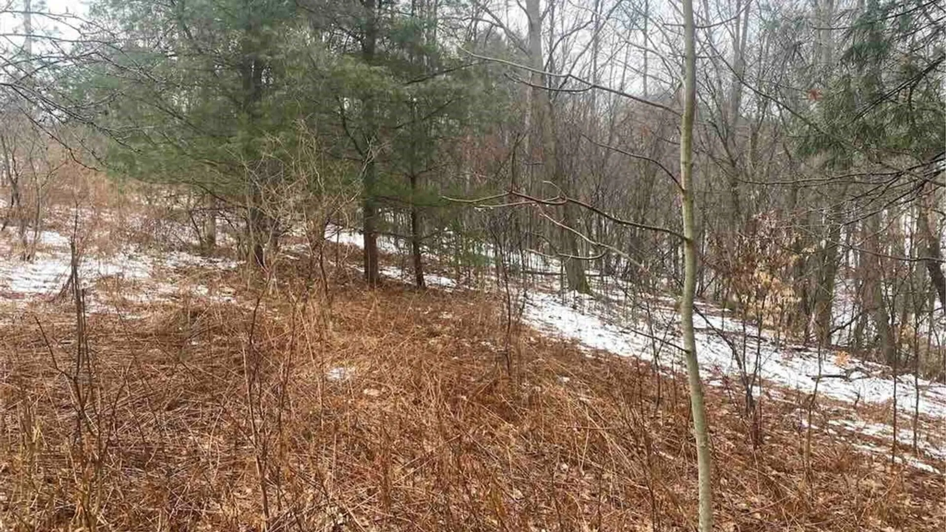 Property at 00 Brandes Road, Willing, NY 14895 14
