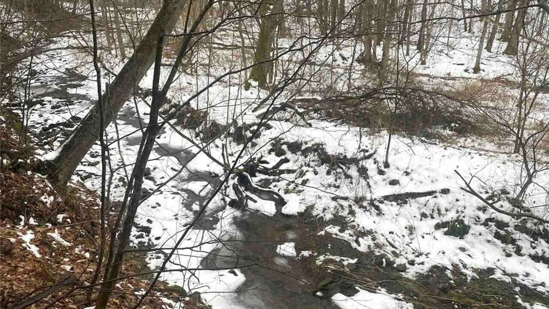 Property at 00 Brandes Road, Willing, NY 14895 15