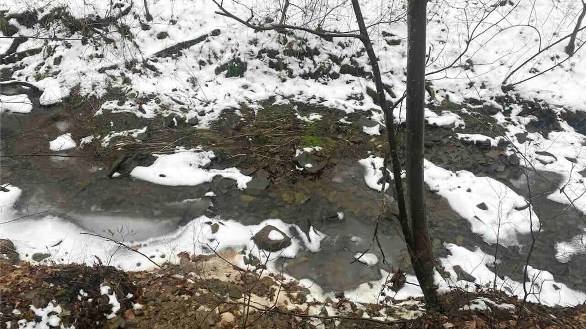 Property at 00 Brandes Road, Willing, NY 14895 16