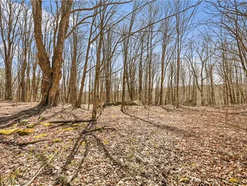 Property at 2.35B Blenheim Hill Road, Blenheim, NY 12093