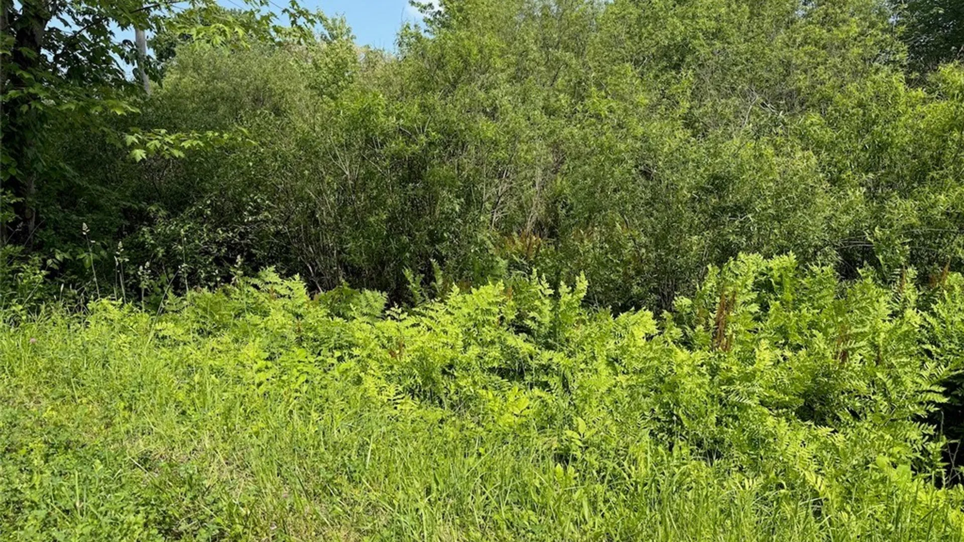 Property at Cobb Drive, Richland, NY 13083 2