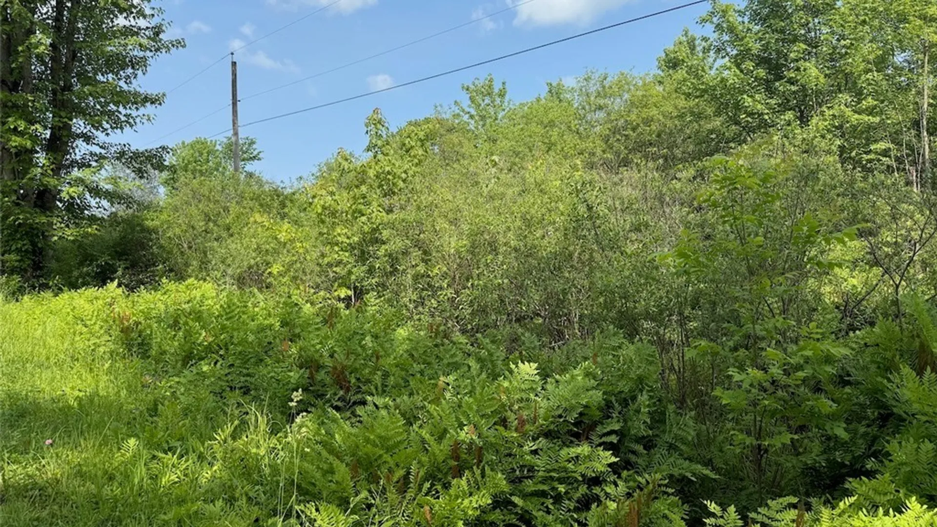 Property at Cobb Drive, Richland, NY 13083 3