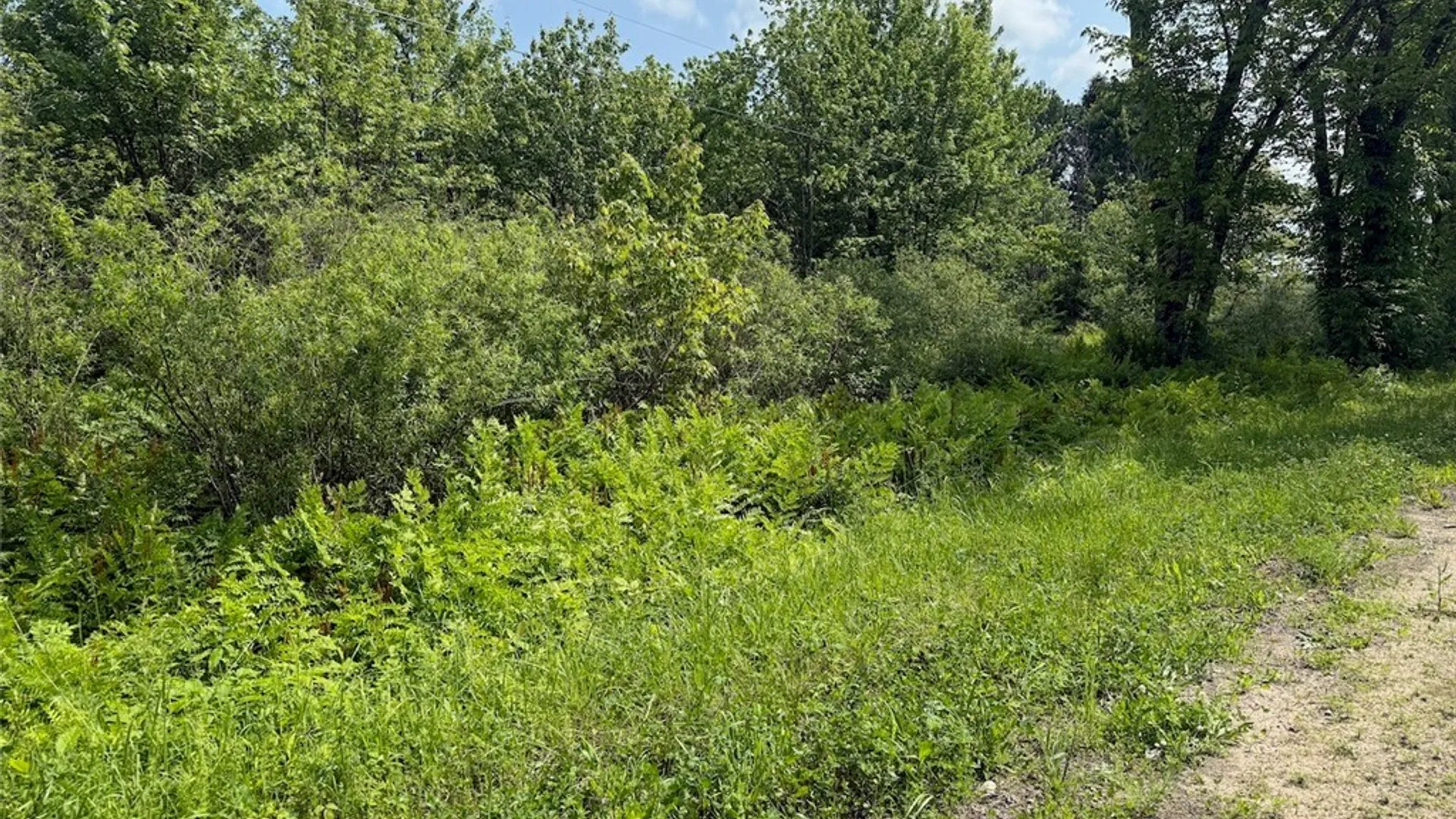 Property at Cobb Drive, Richland, NY 13083 4