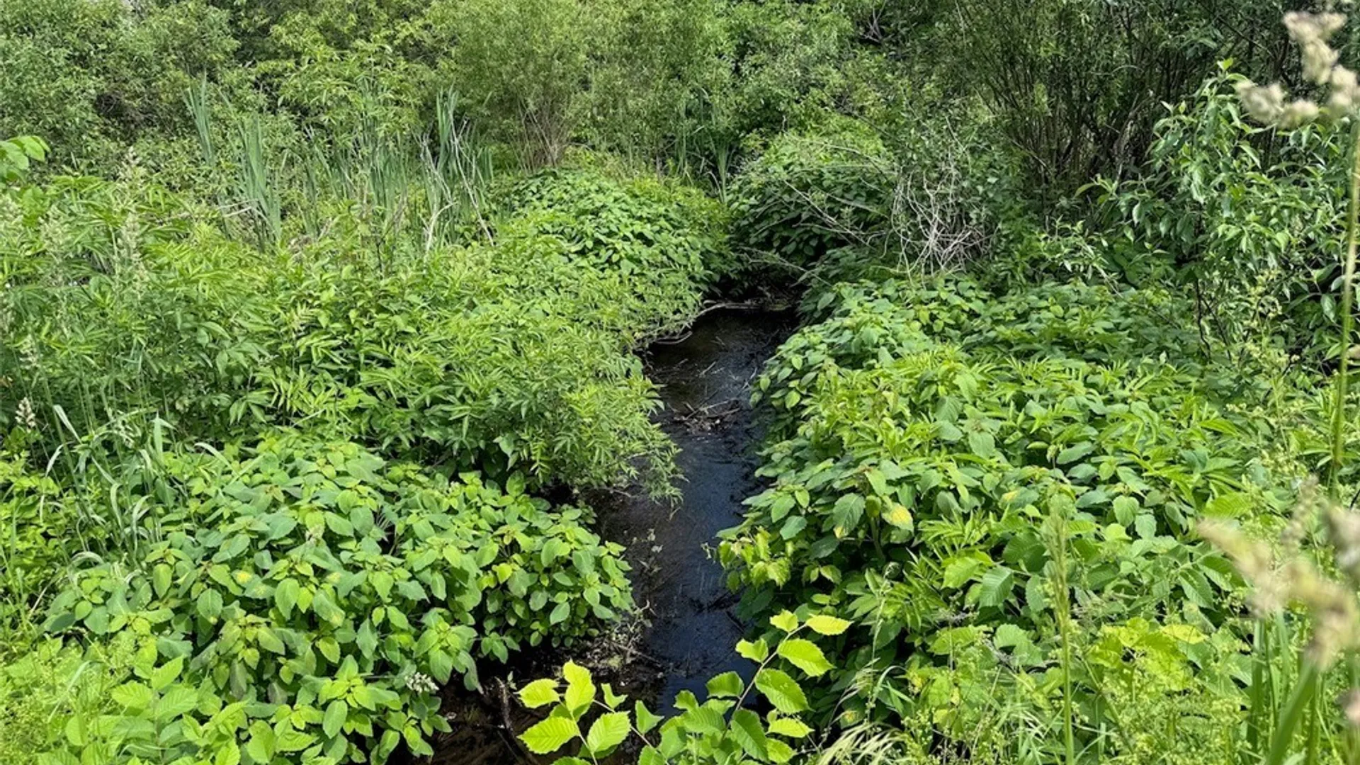 Property at Cobb Drive, Richland, NY 13083 6