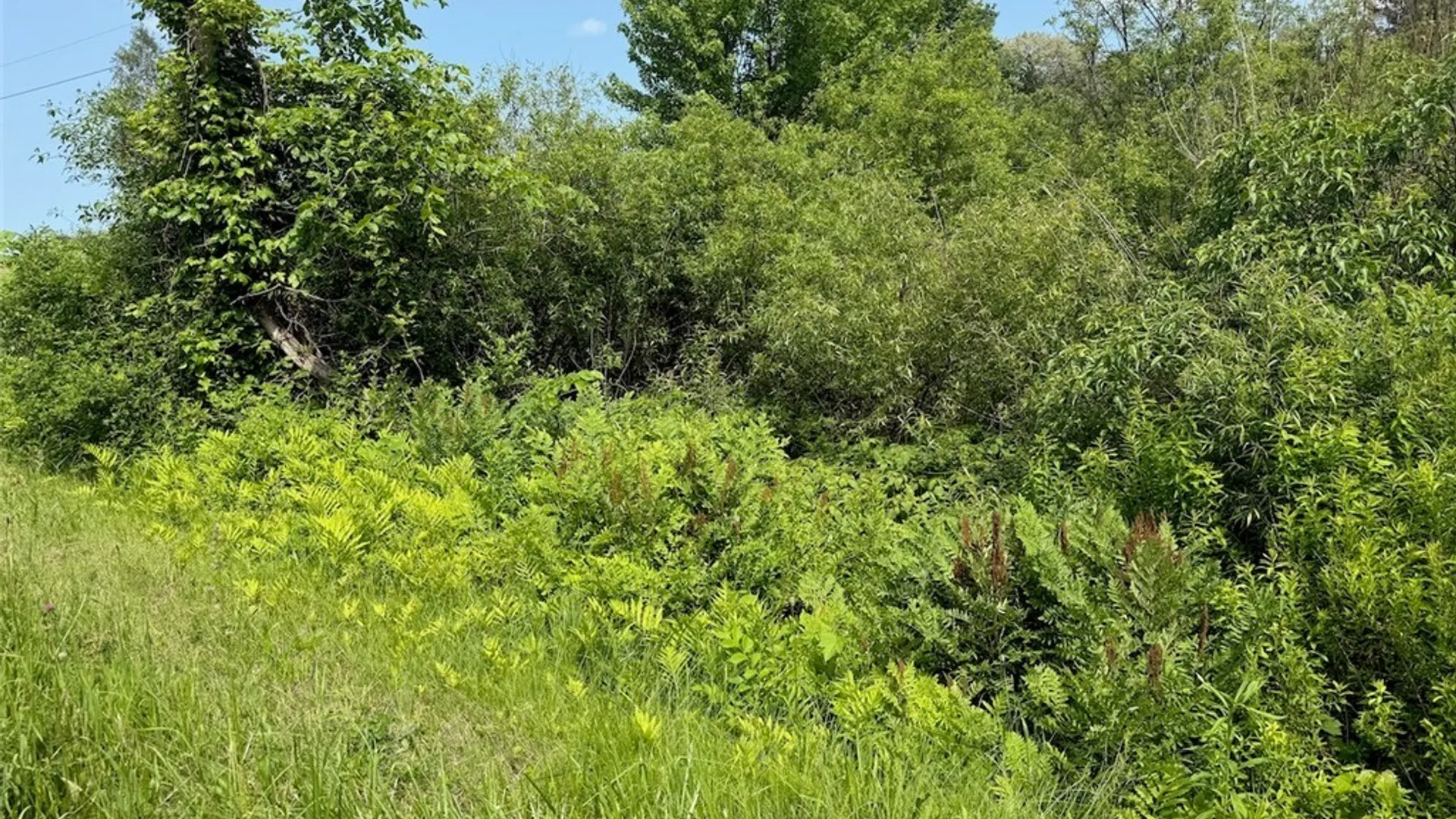 Property at Cobb Drive, Richland, NY 13083 7