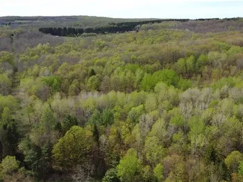 Property at 4545 Sportsman Club Road, Solon, NY 13040
