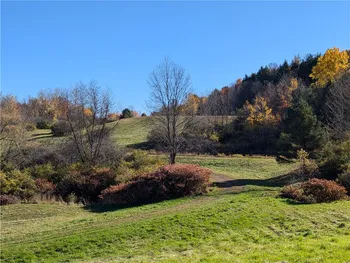 Property at 0 Dunshee Hill Road, Sidney, NY 13839
